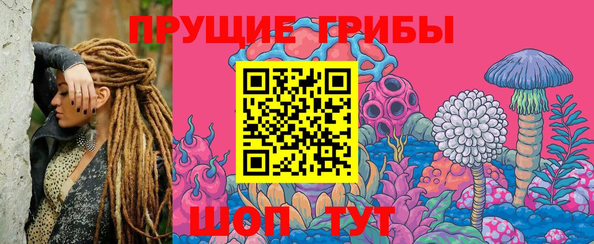 Галлюциногенные грибы Magic Shrooms Мценск